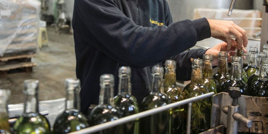 Mahón: Gin Distillery Tour with Tasting & Appetizers - Behind the scenes: how gin goes from ingredient to bottle