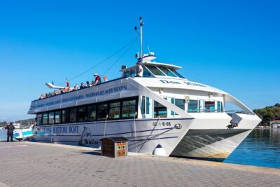 Mahon Harbour Boat Tour with Mahon Market and Gin Distillery - Glass-bottom Mahon Harbour: fortifications and villas from the water