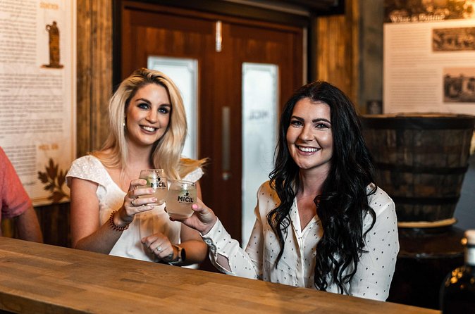 Micil Distillery Experience 2 - Gin, Poitín and Whiskey - Price and Value: What $30.25 Buys You in Galway