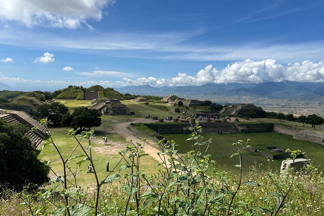 Monte Albán, Hierve el Agua, Mezcal distillery & Teotitlán rugs - Mezcal Don Agave: learning the process and tasting 8 kinds