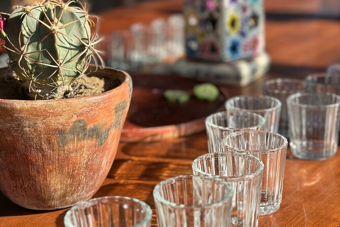 Monte Albán, Hierve el Agua, Mezcal distillery & Teotitlán rugs - Who this one-day Oaxaca combo fits best