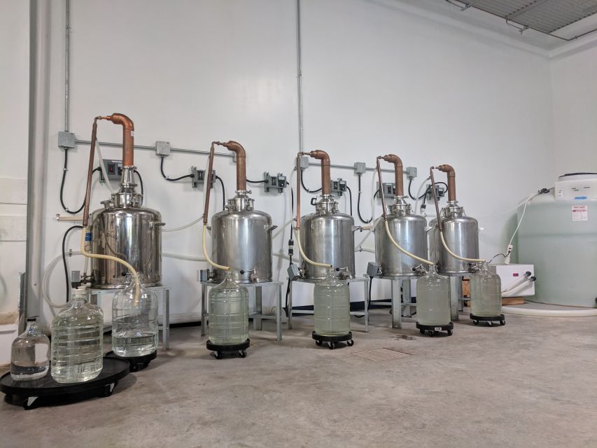 New Orleans: Guided Rum Distillery Tour and Tasting - Practical tips to enjoy your hour