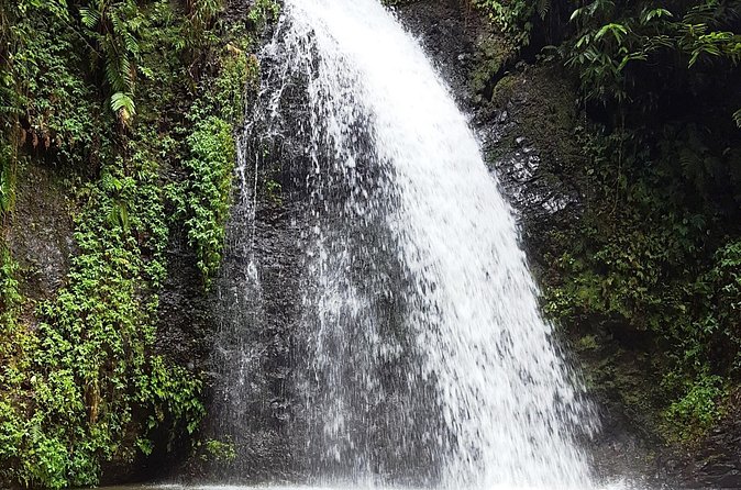 North Tour: rainforest, rum distillery, black sand beach etc - Domaine d’Émeraude: botanical garden + an interactive museum