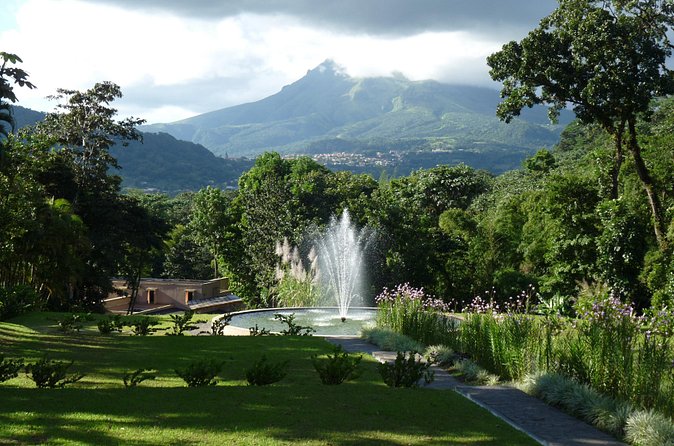 North Tour: rainforest, rum distillery, black sand beach etc - Saint-Pierre ruins: Little Paris and a volcanic lesson