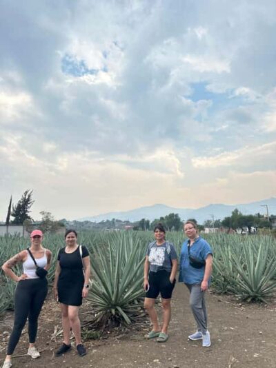 Oaxaca: Hierve el Agua & Mezcal Distillery Small-Group Tour - The bakery stop: bread tasting and a real chance to reset
