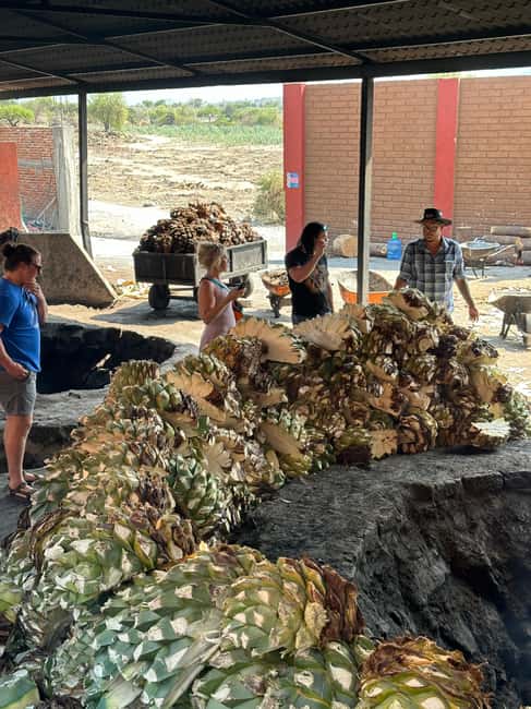 Oaxaca: Hierve el Agua & Mezcal Distillery Small-Group Tour - Bottomless mezcal tasting: fun format, smart pacing