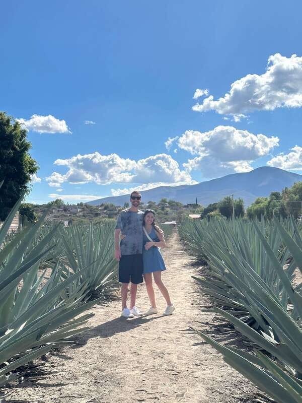 Oaxaca: Hierve el Agua & Mezcal Distillery Small-Group Tour - Who should book this day trip, and who should skip it