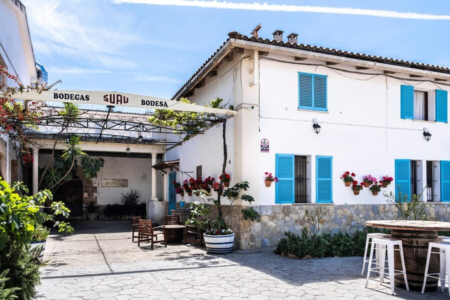 Palma: Distillery Tour with 3 Spirits and Tapas Tasting - What you actually learn from a brandy tour with barrel tastings