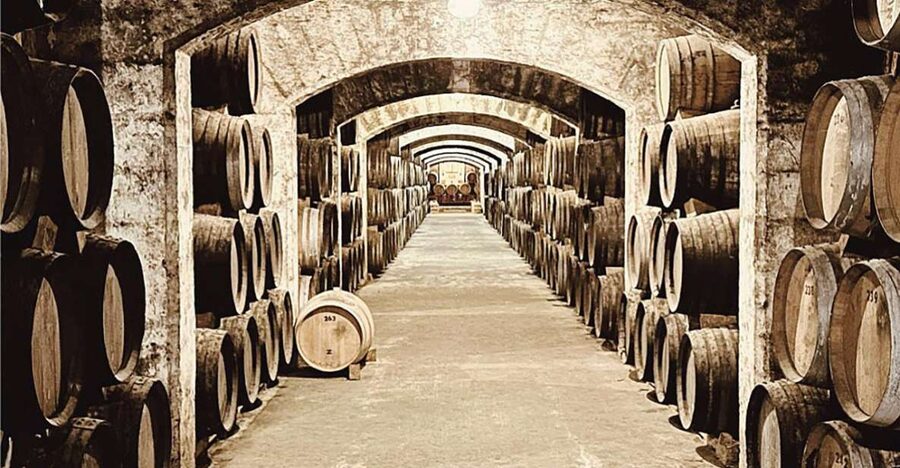 Palma: Distillery Tour with 6 Spirits and Tapas Tasting - The Cellar Walk: Barrels, Stairs, and the Solera Process Since 1851