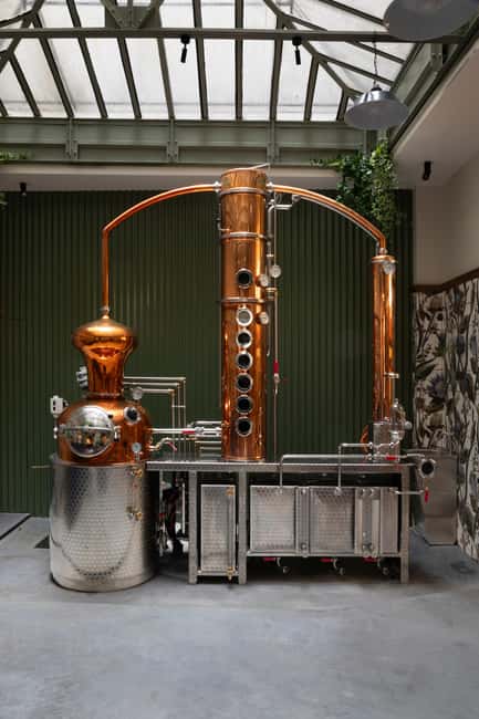 Paris Visit and gin tasting in English - Who should book this gin tour (and who might skip it)