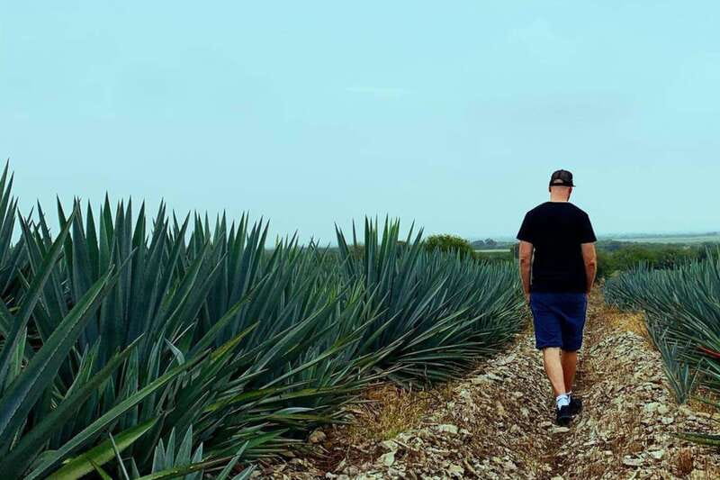 Private Adventure to Tequila and la Fortaleza Distillery - Cantaritos El Guero #1: the fun finale with music and drinks