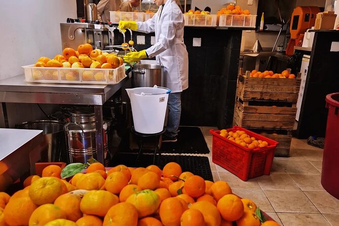 Private Distillery Day Tour - La Distillerie de Monaco in Monte-Carlo: what makes it different