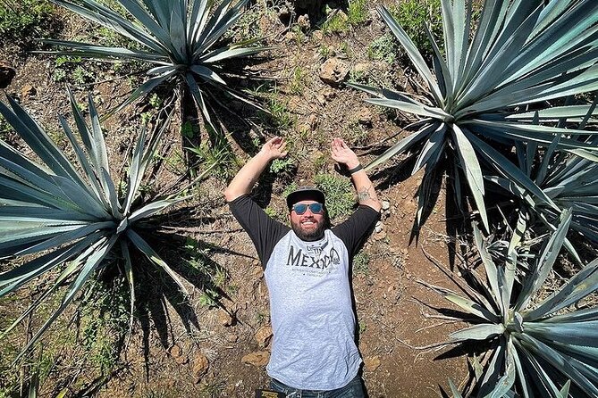 Private One Day Adventure Tour in Tequila and La Fortaleza Distillery - Key Highlights at a Glance