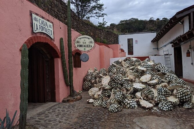Private One Day Adventure Tour in Tequila and La Fortaleza Distillery - Transportation, Comfort, and the 6-to-7-Hour Reality Check