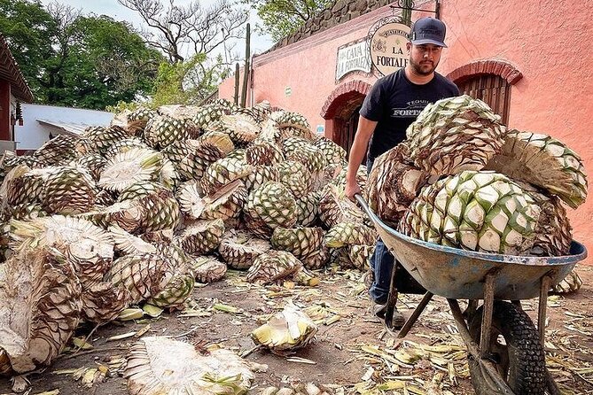 Private One Day Adventure Tour in Tequila and La Fortaleza Distillery - Buying a Tequila Lesson, Not Just a Tour