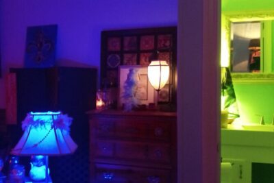Private Tour and Seance at the House on Bourbon - What You Actually Get: Spiritual Reading, Wine, Water, and Mojo