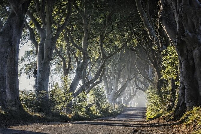 Private Tour - Causeway, Castles & Whiskey Tour - Game of Thrones - Belfast Pickup and the Route Rhythm (8 Hours, Multiple Icons)