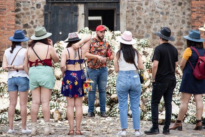 Private Tour La Fortaleza Distillery and visit to Tequila - Private transportation that protects your time in Guadalajara