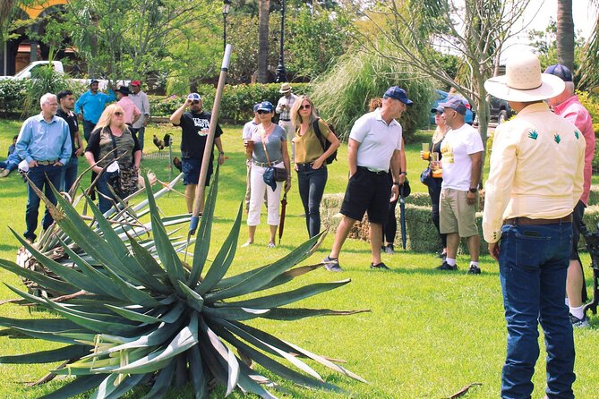 Private Tour La Fortaleza Distillery and visit to Tequila - Cantaritos El Güero #1: a lively lime-and-soda finale
