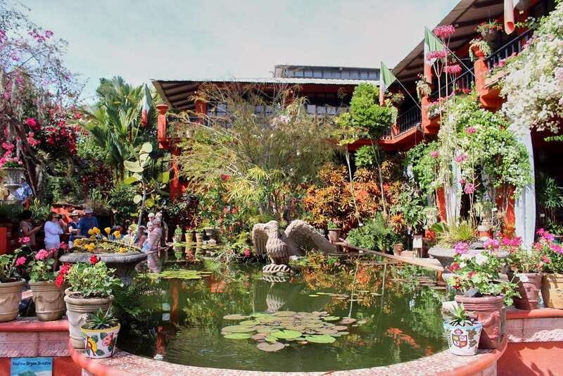Puerto Vallarta: Botanical Gardens, Distillery & Coffee Tour - Why the Holstein House of Orchids and Vanilla is worth pacing for