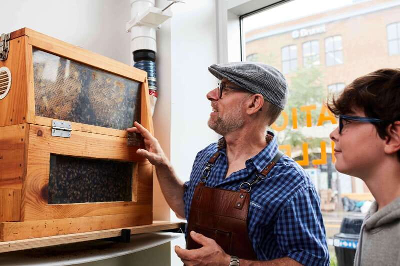 Quebec City: Honey and Distillery Tour with Tasting - Key highlights at Apikol in Quebec City