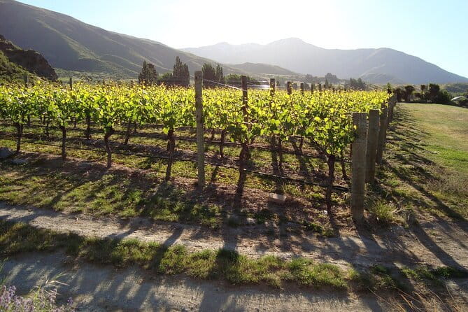Queenstown Gin and Whiskey tours - Scenic Stops: Turning Transit Into Part of the Day
