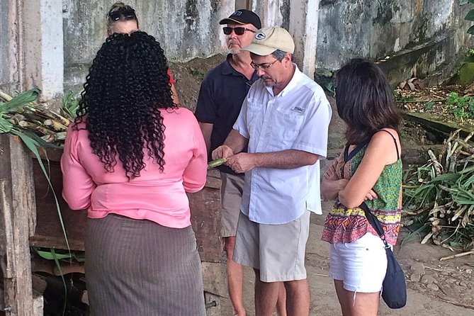 Rum Tour: Exploring the Historic River Antoine Rum Distillery - Timing for cruise days: pacing that works for short windows