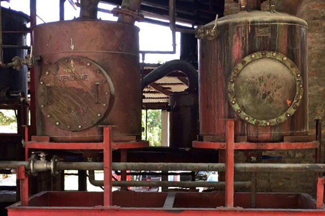 Rum Tour: Exploring the Historic River Antoine Rum Distillery - Who should book this tour—and who might skip it
