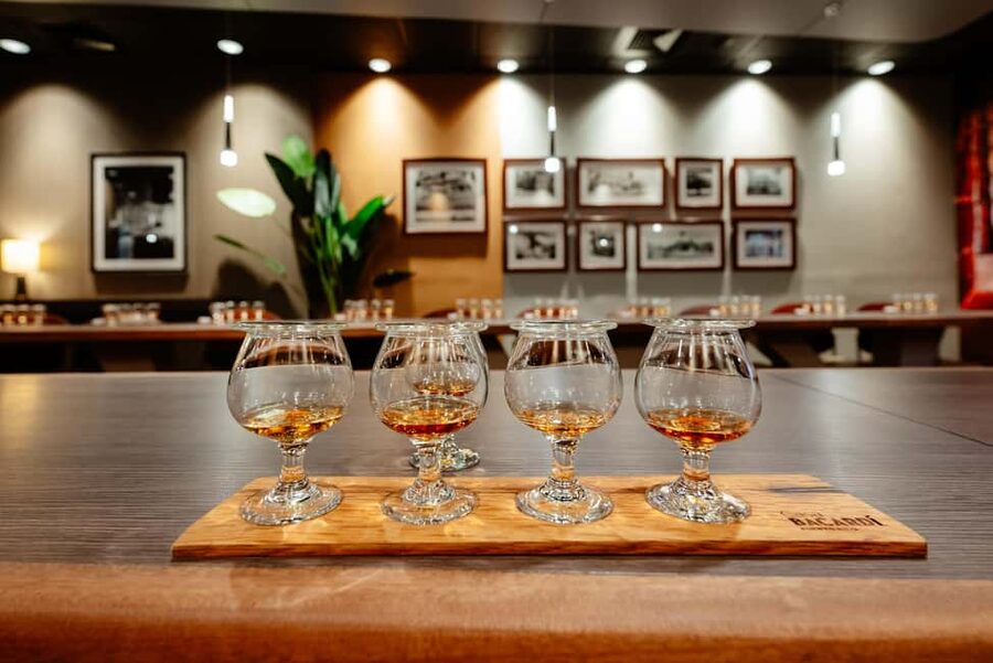 San Juan: Casa Bacardi Distillery Tour - The Welcome Drink Moment: Where the Tour Starts Feeling Easy