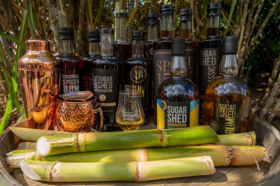 Sarina: Rum Distillery Guided Tour and Tasting - Should you book the Sarina rum distillery tour at 12pm?
