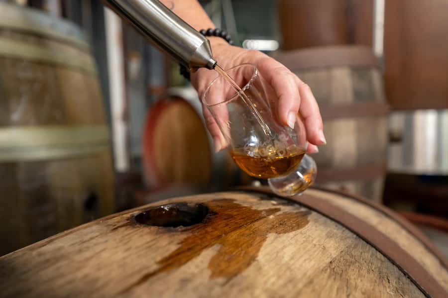 Sarina: Rum Distillery Guided Tour and Tasting - The 30-minute plan: cane to spirit without the fluff
