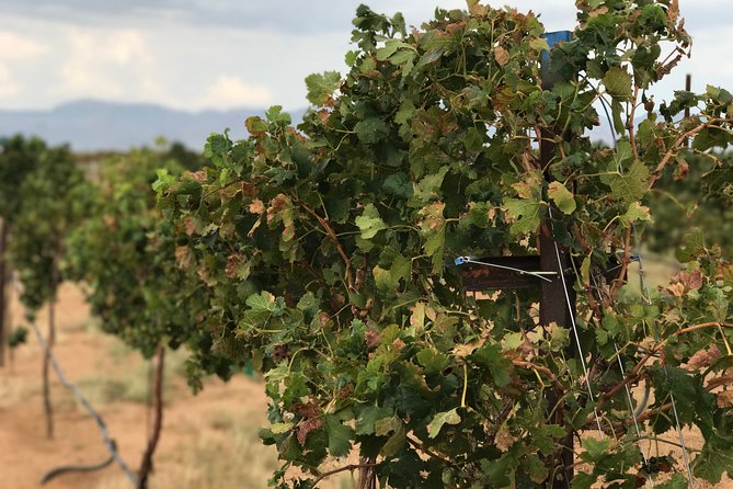 Scenic Desert Wine Distillery Brewery Route 66 Tour - Kingman’s Route 66 day trip: easy to plan, fun to repeat