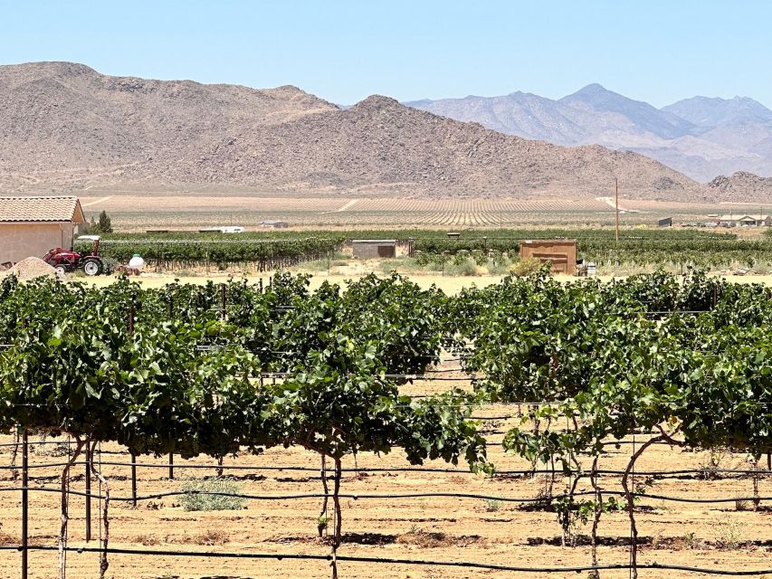 Scenic Desert Wine, Distillery Tastings/Brewery/RT66 & Lunch - Quick hits before you go