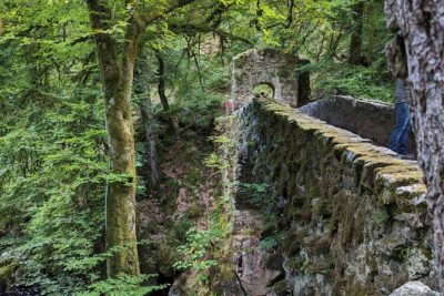 Scone Palace, Nature, Pitlochry, Whisky Experience from Glasgow - The Hermitage: Black Linn Falls, red squirrels, and Ossian’s Hall