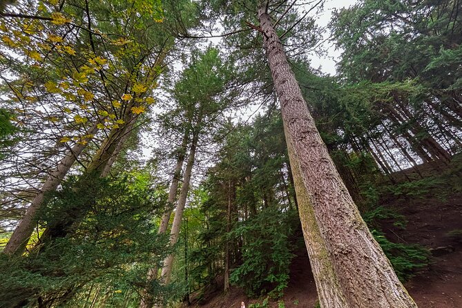 Scone Palace, Nature, Pitlochry, Whisky Experience from Glasgow - Stirling Castle, Doune Castle photos, and the Wallace Monument viewpoint