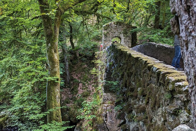Scone Palace, Nature, Pitlochry, Whisky Experience from Glasgow - The Hermitage: Black Linn Falls, red squirrels, and Ossian’s Hall