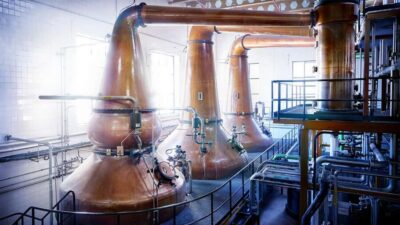 Segovia: Guided tour of the DYC Distillery with whiskey tasting - The 2-hour flow: what happens during the production route