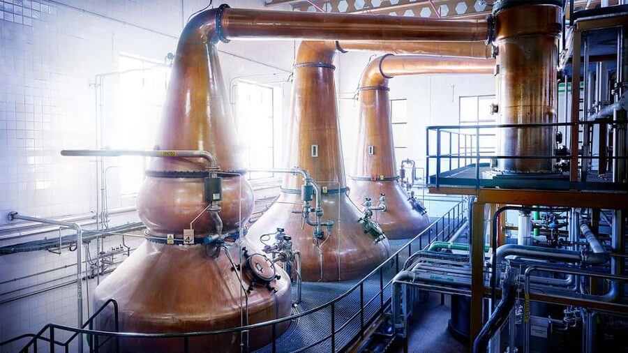 Segovia: Guided tour of the DYC Distillery with whiskey tasting - The 2-hour flow: what happens during the production route