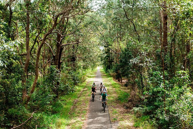Self Guide E Bike Tour - Husk Distillery, Rainforest & Rail Trail - Village stops that keep the day from feeling like transport