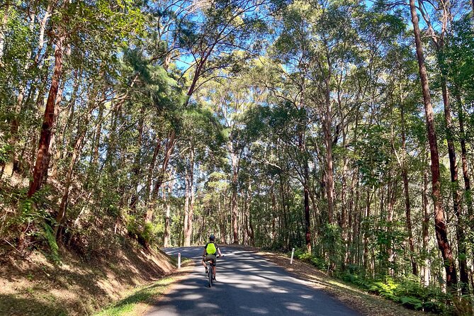 Self Guide E Bike Tour - Husk Distillery, Rainforest & Rail Trail - Murwillumbah lunch ideas and how to pace your final day stretch