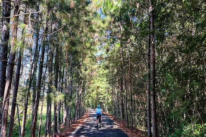 Self Guide E Bike Tour - Husk Distillery, Rainforest & Rail Trail - Price check: is $128.39 worth it for this mix?