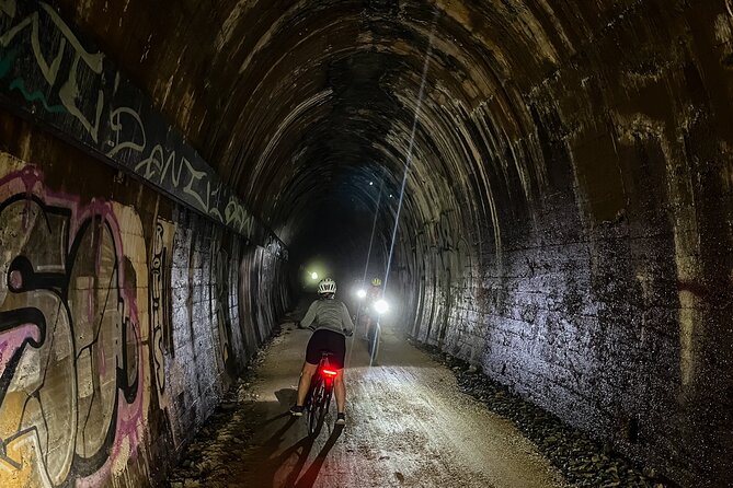 Self Guide E Bike Tour - Husk Distillery, Rainforest & Rail Trail - Northern Rivers Rail Trail: 25 km, no cars, and a 524m tunnel