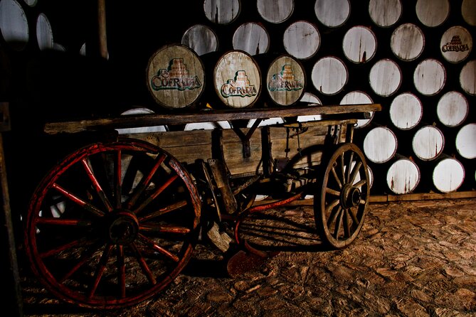 Sip & Savor Tequila Experience Distillery w/ Lunch fr Guadalajara - The big picture: a tequila tour with built-in context