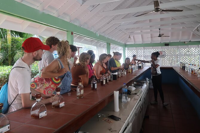 St Lucia ATV Tour : Waterfall, Plantation, Beach and Distillery - Banana Plantation + Farmer Peter: The Culture Stop That’s Not a Photo Op