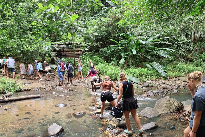 St Lucia ATV Tour : Waterfall, Plantation, Beach and Distillery - Saint Lucia Distillers: Rum Tasting With a Real Stop
