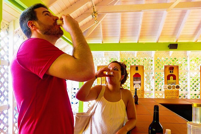 St Lucia Rum Distillery Tour & Mineral Bath Excursion - Price and value: is $180 reasonable for a 5-hour loop?