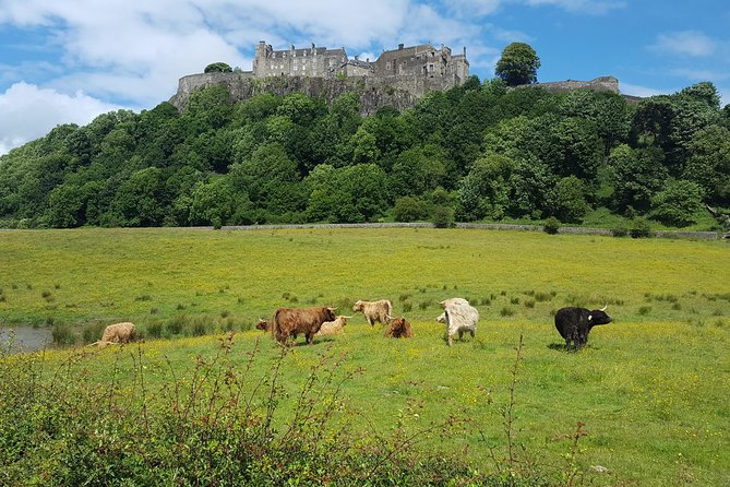 Stirling Castle, Trossachs, Loch Lomond and Whisky Tour - Stirling Castle: your guided context, then your wandering time
