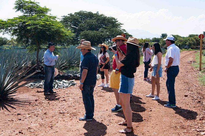 Tequila distillery experience, Jose Cuervo & Tequila Magic Town - Plaza Principal Tequila: the part where you slow down and eat