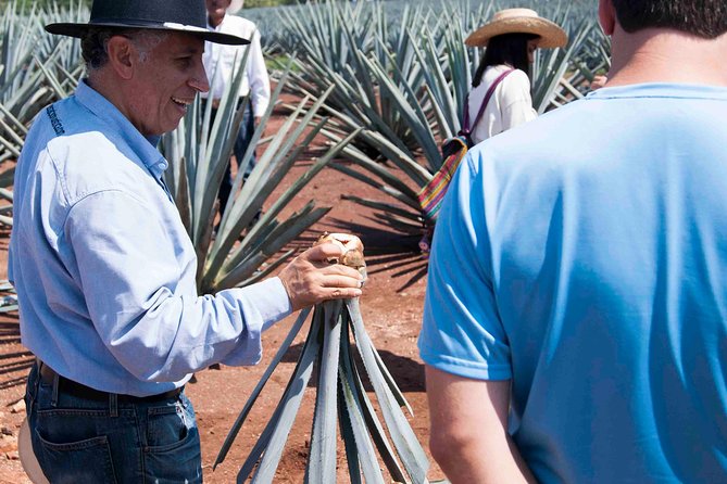Tequila distillery experience, Jose Cuervo & Tequila Magic Town - Price and value: is $79.80 a smart deal?