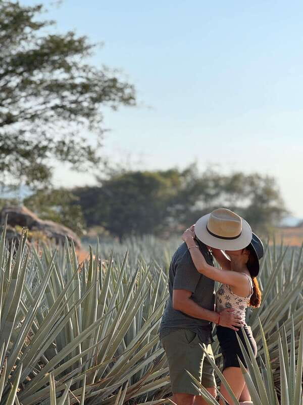 Tequila: Town and Distillery Guided Tour with Tastings - Key Things I’d Bet Money You’ll Enjoy